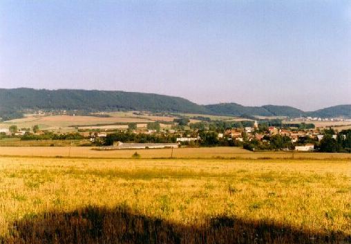 Pohled na Ronov nad Doubravou od zpadu