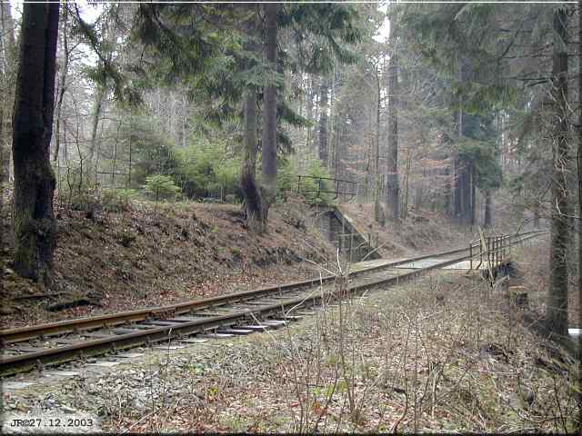 Pohled na zachoval most u Tasovic