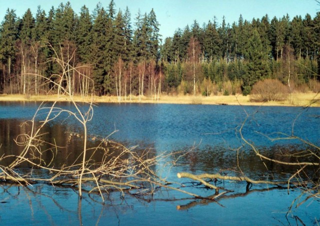 Křemenický rybník